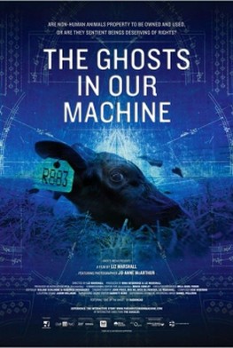 The Ghosts in our Machine (2013)