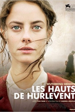 Les Hauts de Hurlevent (2011)
