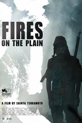 Fires On The Plain (2013)