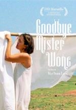 Goodbye Mister Wong (2021)